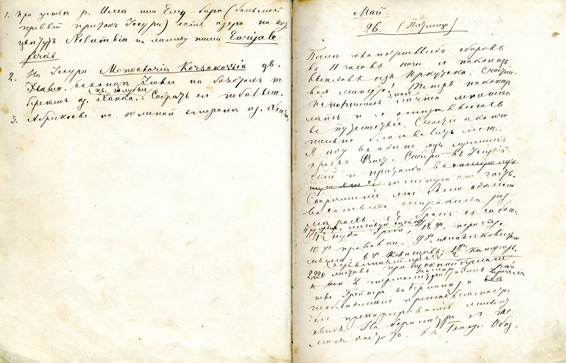 Дневник путешествия в Уссурийский край. 1867
